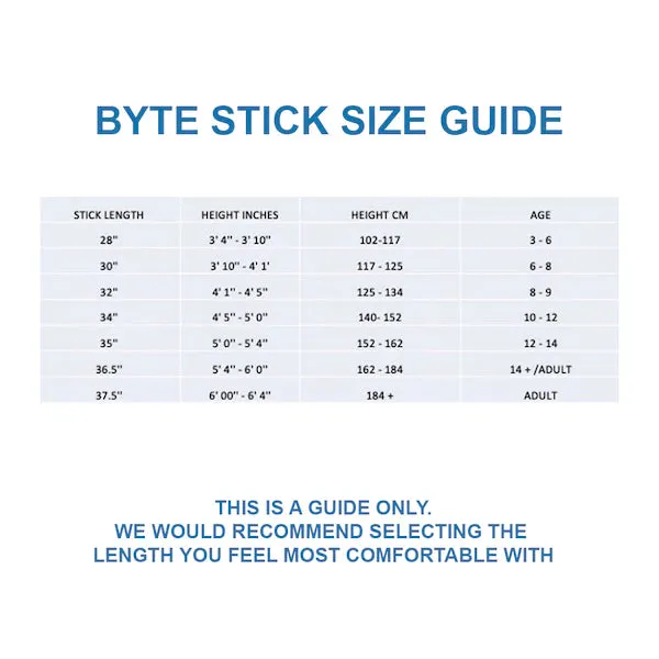 BYTE HX300